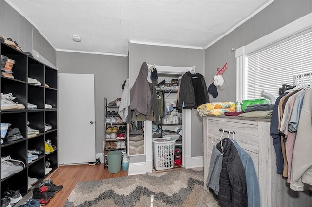 walk in closet with light wood-style flooring