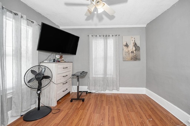 interior space featuring light wood-type flooring, a healthy amount of sunlight, and baseboards