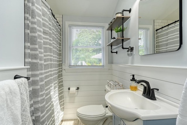 7 Luan Cir, Chelmsford, MA 01824 - bathroom with toilet, vanity, a wainscoted wall, and a shower with curtain