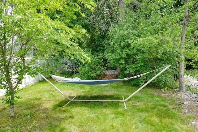 7 Luan Cir, Chelmsford, MA 01824 - view of yard
