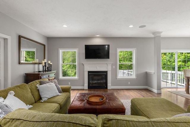 23 Crimson Dr, Shrewsbury, MA 01545 - living room with a glass covered fireplace, wood finished floors, baseboards, and recessed lighting