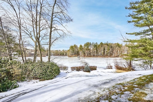 view of yard layered in snow