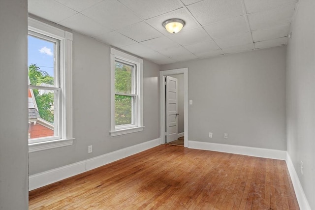8 Hobson Ave, Worcester, MA 01603 - spare room with a drop ceiling and wood finished floors