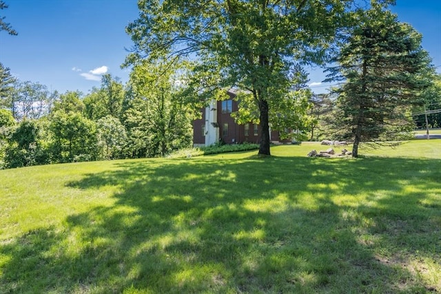 231 Audubon Rd, Northampton, MA 01053 - view of grassy yard