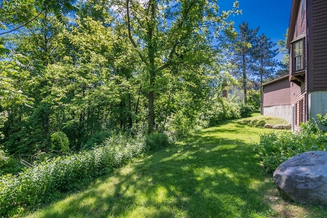 231 Audubon Rd, Northampton, MA 01053 - view of grassy yard