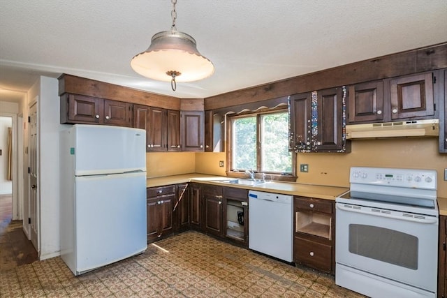 231 Audubon Rd, Northampton, MA 01053 - kitchen featuring white appliances, under cabinet range hood, a sink, light countertops, and dark brown cabinets
