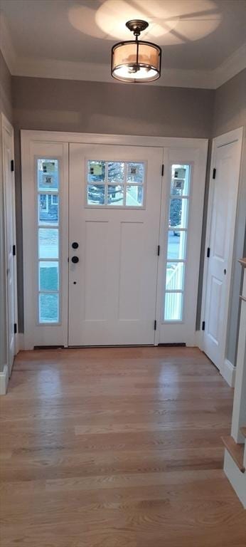 foyer entrance featuring light hardwood / wood-style floors and a healthy amount of sunlight