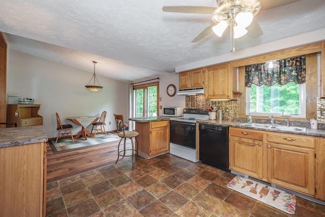 453 Homestead Ave, Holyoke, MA 01040 - kitchen featuring black dishwasher, electric stove, a sink, lofted ceiling, and a peninsula