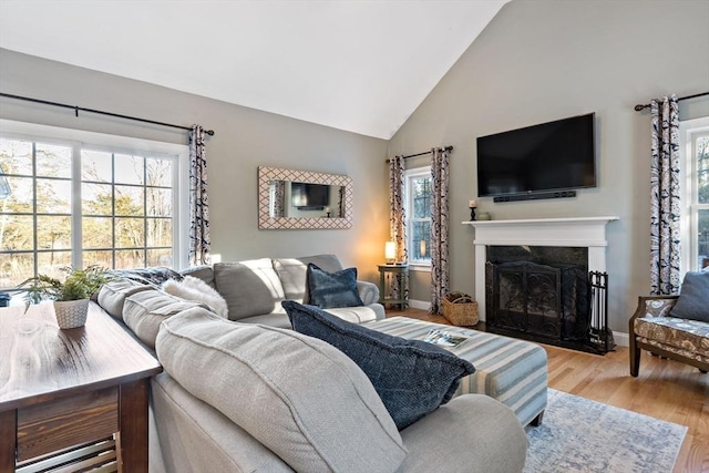 living room with baseboards, a premium fireplace, wood finished floors, and a healthy amount of sunlight