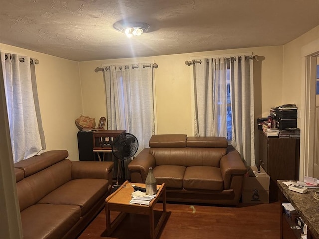 living area featuring wood finished floors