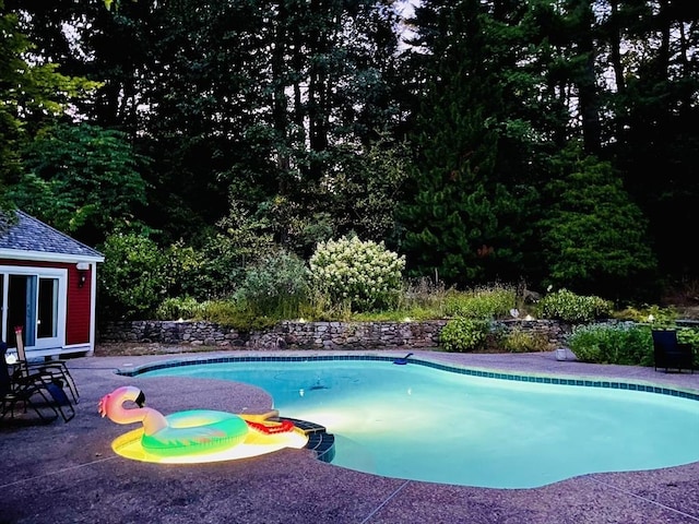 view of pool featuring a patio