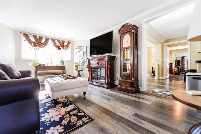 living area featuring ornamental molding, wood finished floors, and a glass covered fireplace