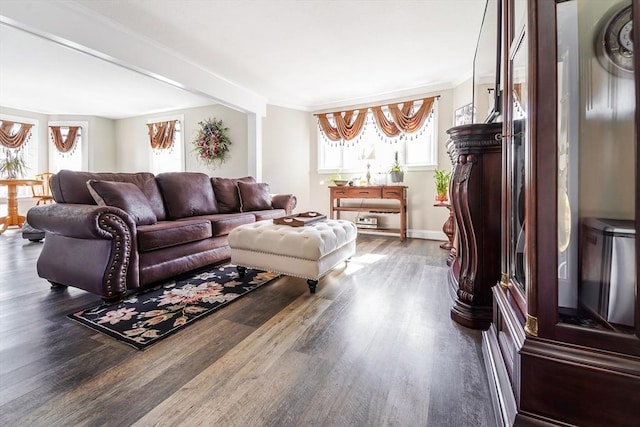 living area featuring baseboards, wood finished floors, and ornamental molding
