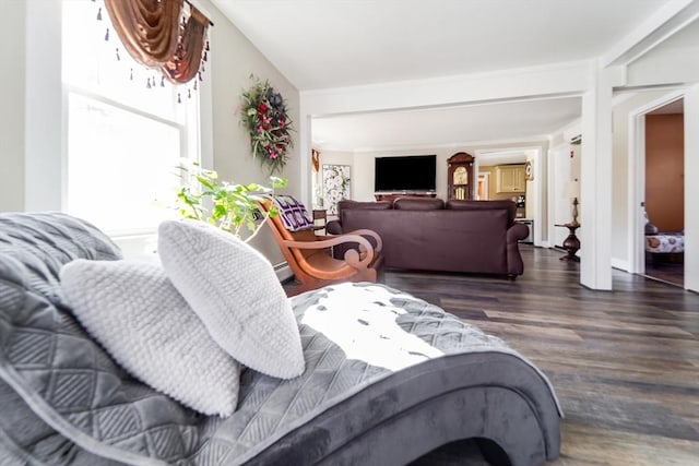 living area with dark wood finished floors