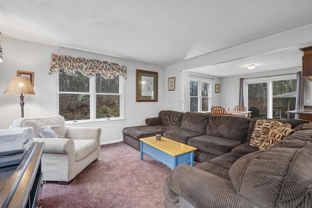 living area with baseboards and carpet