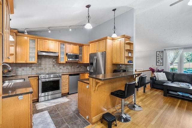 206 Cordaville Rd, Southborough, MA 01772 - kitchen with stainless steel appliances, under cabinet range hood, a sink, lofted ceiling, and a peninsula