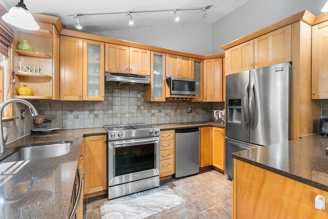 206 Cordaville Rd, Southborough, MA 01772 - kitchen featuring appliances with stainless steel finishes, a sink, under cabinet range hood, backsplash, and track lighting