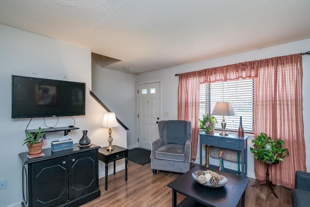 living area featuring wood finished floors