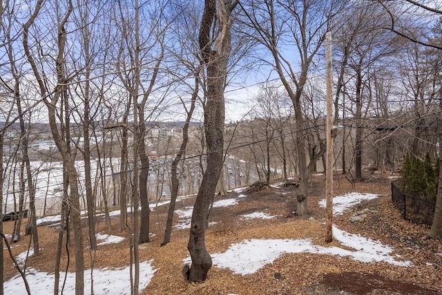 view of snowy yard