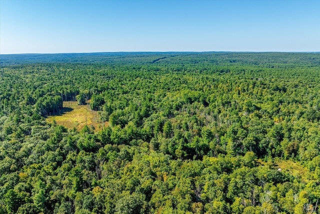 bird's eye view with a view of trees