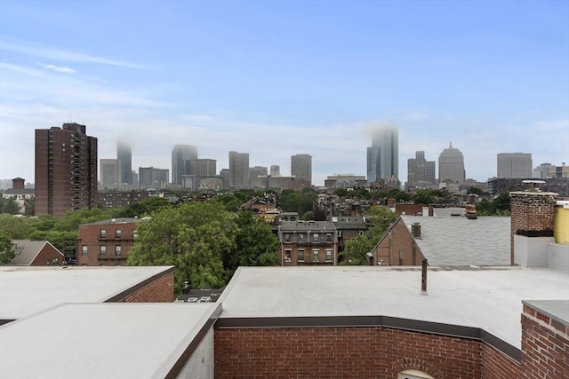 1411 Washington St Unit 4, Boston, MA 02118 - skyline view