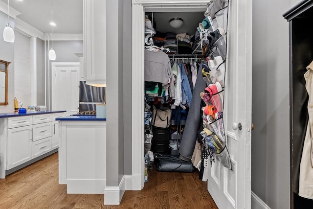 1411 Washington St Unit 4, Boston, MA 02118 - walk in closet with wood finished floors