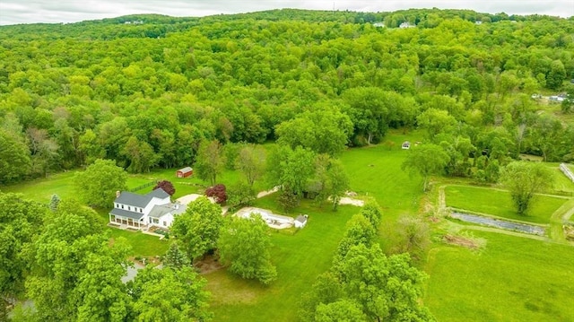 6 Hitching Post Ln, Wilbraham, MA 01095 - view of subject property featuring a forest