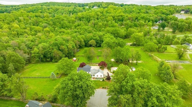 6 Hitching Post Ln, Wilbraham, MA 01095 - bird's eye view of a forest