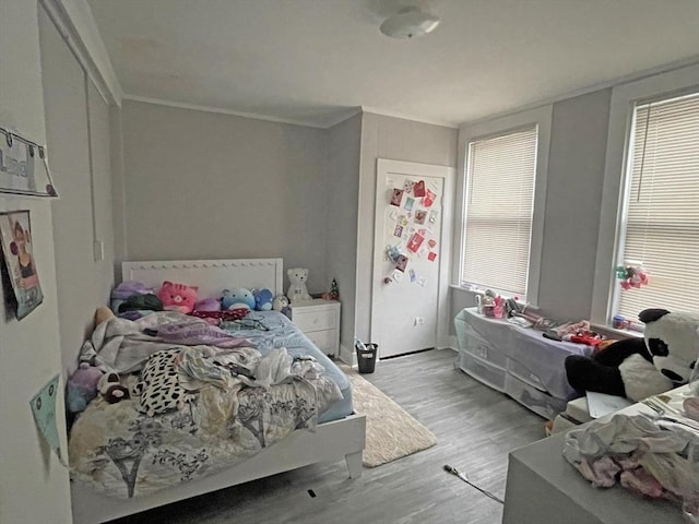 bedroom featuring multiple windows and light hardwood / wood-style flooring