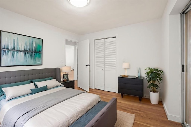 12 Commonwealth Ct Unit 12-16, Boston, MA 02135 - bedroom featuring wood finished floors, a closet, and baseboards