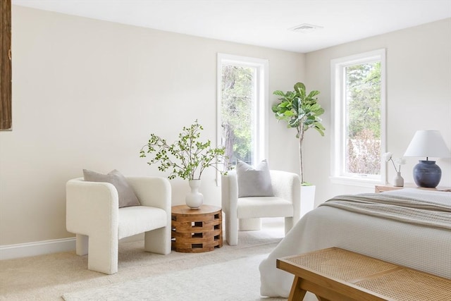 7 Langdon Rd, Natick, MA 01760 - bedroom with multiple windows, carpet flooring, and baseboards