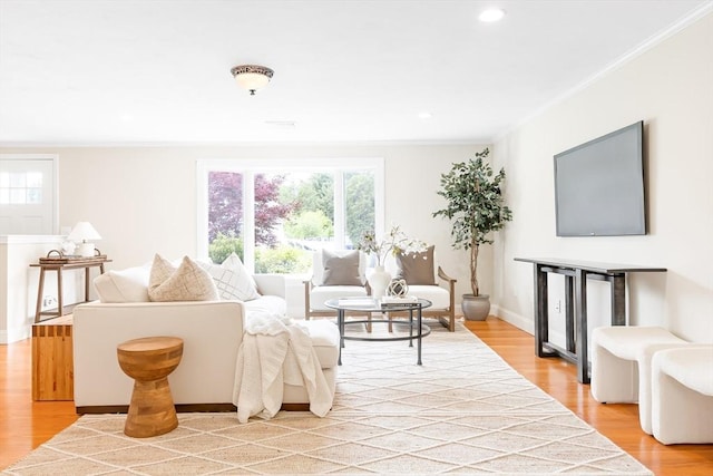 7 Langdon Rd, Natick, MA 01760 - living area featuring crown molding, plenty of natural light, light wood-type flooring, recessed lighting, and baseboards