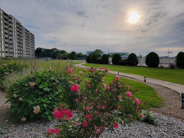 200 Cove Way Unit 607, Quincy, MA 02169 - view of green lawn