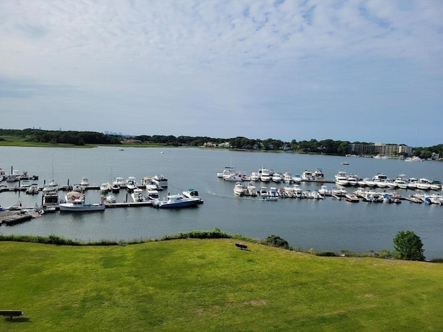 200 Cove Way Unit 607, Quincy, MA 02169 - water view featuring a marina