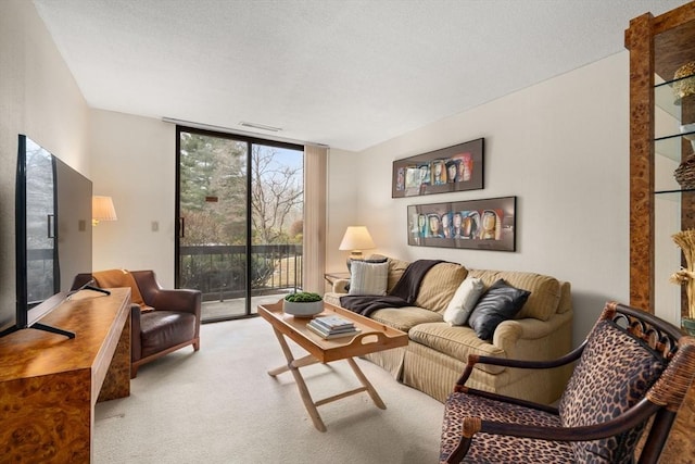 carpeted living room with expansive windows