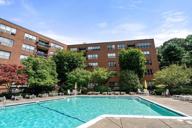 view of pool with a patio