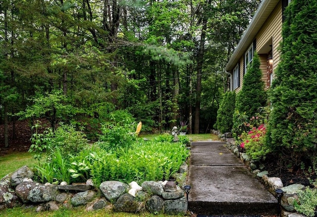 14 Mossman Rd, Westminster, MA 01473 - view of yard