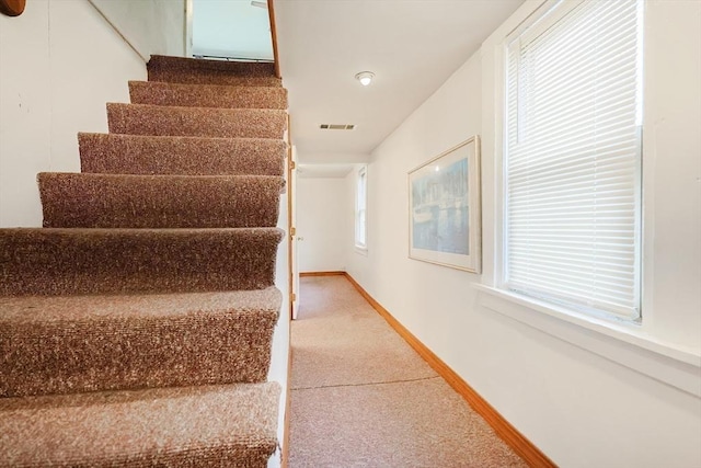 stairway with baseboards and carpet