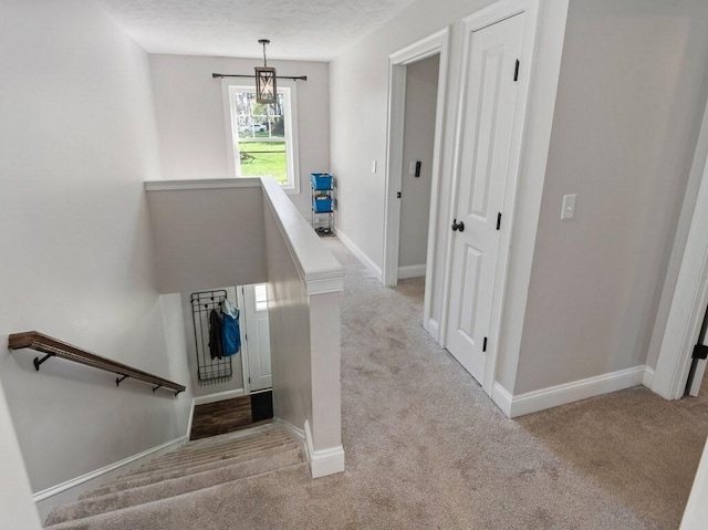 stairs featuring baseboards and carpet flooring