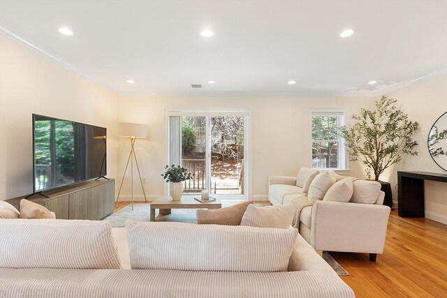 51 Loomis St Unit 51, Cambridge, MA 02138 - living area with recessed lighting, ornamental molding, and light wood-type flooring