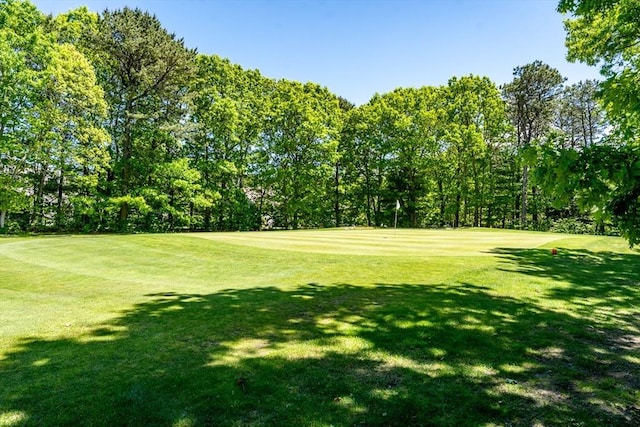 9 Longwood Rd Unit 239, Mashpee, MA 02649 - view of green lawn with view of scattered trees and view of golf course