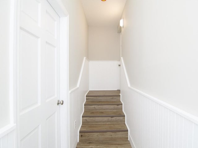 staircase with hardwood / wood-style flooring