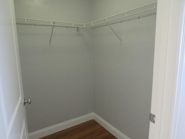 walk in closet with dark wood finished floors