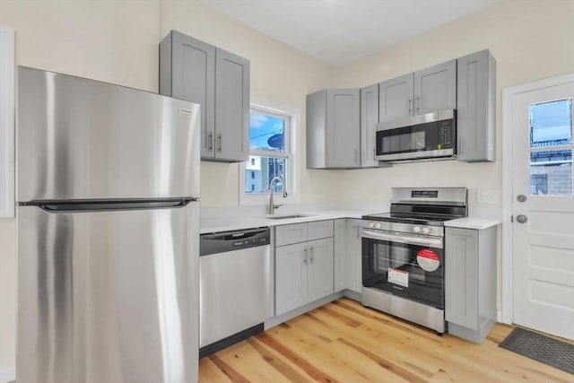 kitchen featuring gray cabinets, stainless steel appliances, light countertops, and a sink