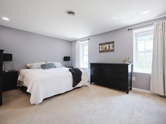 14 Shaw Farm Rd Unit 14, Canton, MA 02021 - bedroom with light carpet and recessed lighting