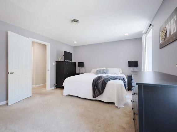 14 Shaw Farm Rd Unit 14, Canton, MA 02021 - bedroom with light colored carpet