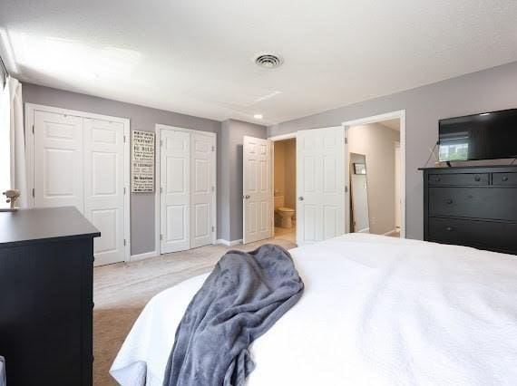 14 Shaw Farm Rd Unit 14, Canton, MA 02021 - bedroom with two closets, light carpet, and connected bathroom