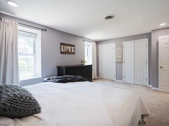 14 Shaw Farm Rd Unit 14, Canton, MA 02021 - carpeted bedroom featuring two closets, multiple windows, and recessed lighting