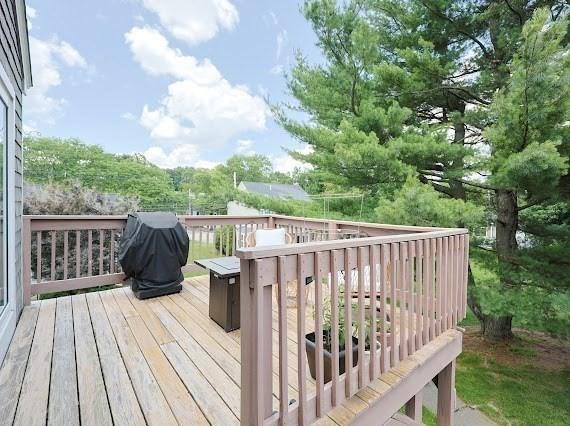 14 Shaw Farm Rd Unit 14, Canton, MA 02021 - wooden terrace featuring grilling area