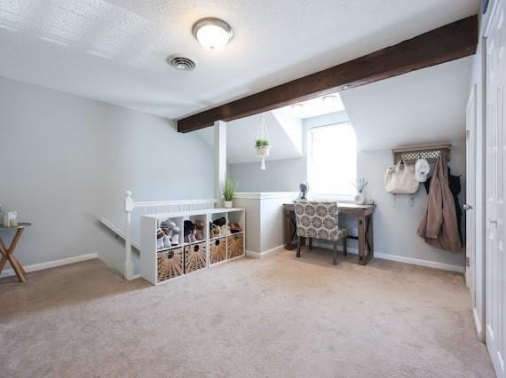 14 Shaw Farm Rd Unit 14, Canton, MA 02021 - bonus room with carpet and a textured ceiling